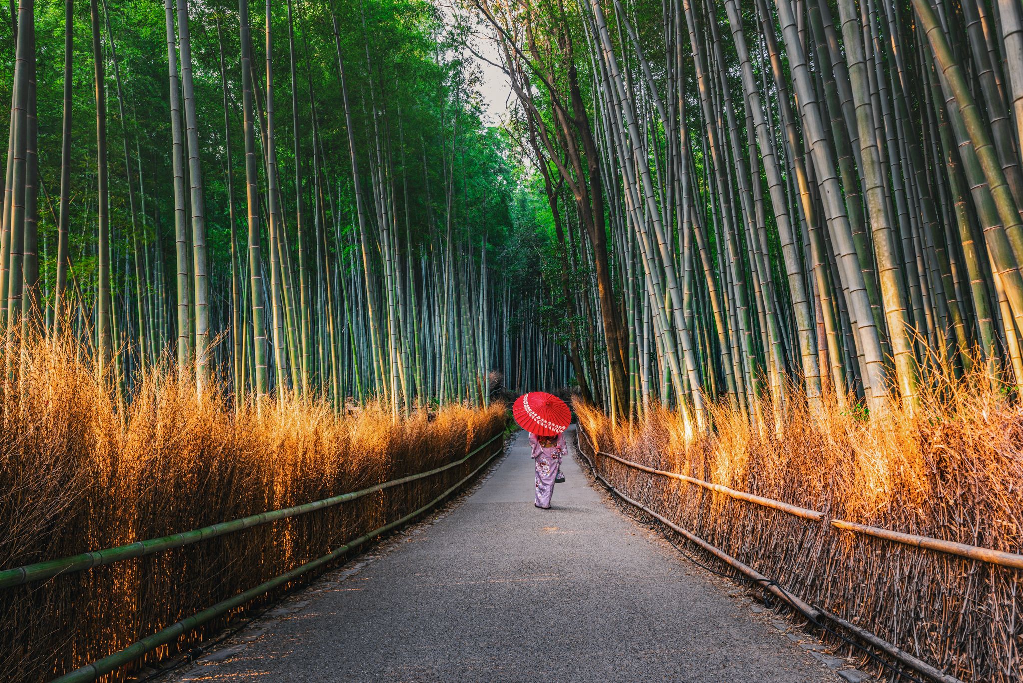Japan Luxury Tours: Travel, Trips, & Vacations with GeoEx
